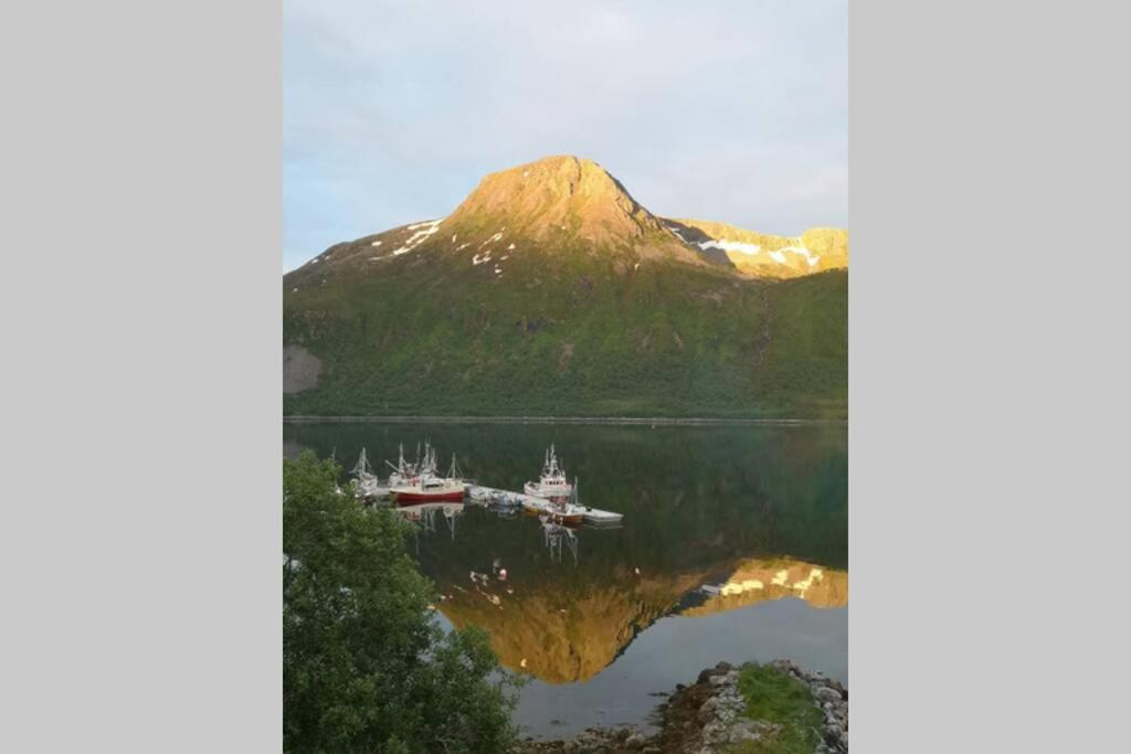 Апартаменти Waterfront Senja 3 Torsken Екстер'єр фото