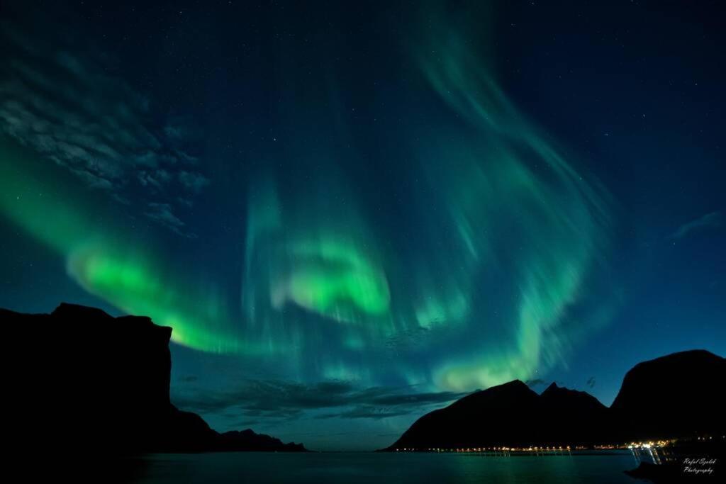 Апартаменти Waterfront Senja 3 Torsken Екстер'єр фото
