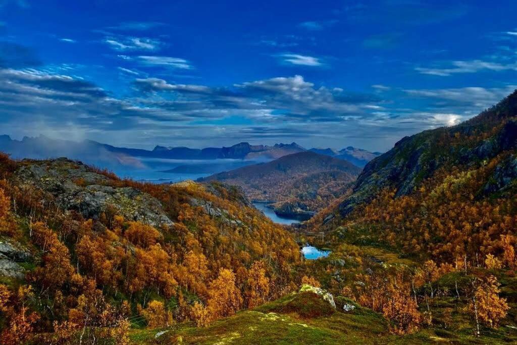 Апартаменти Waterfront Senja 3 Torsken Екстер'єр фото