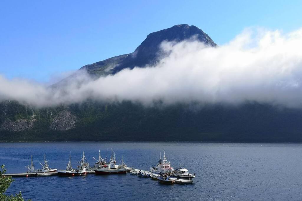 Апартаменти Waterfront Senja 3 Torsken Екстер'єр фото